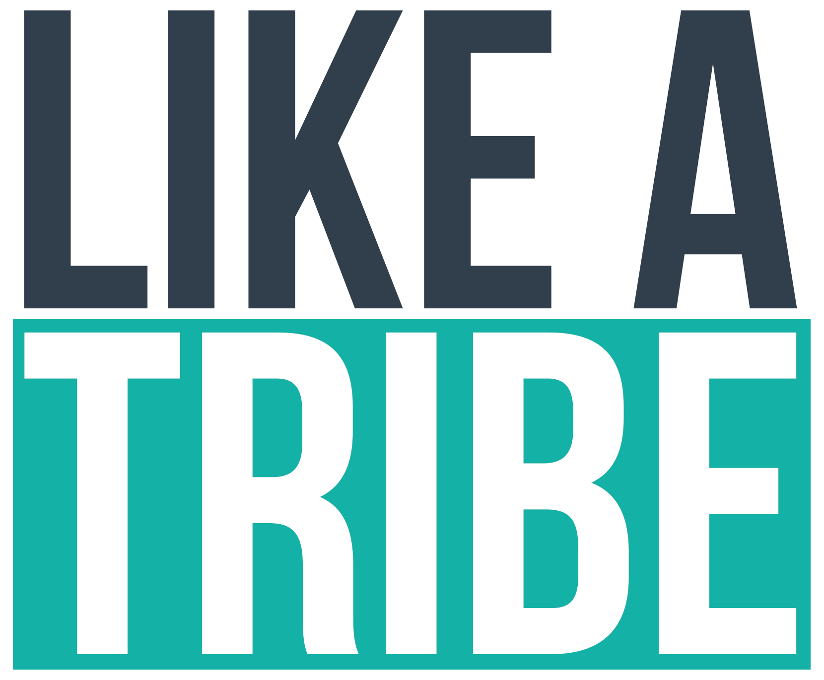 Logo Like a Tribe, agence de marketing et d'événementiel